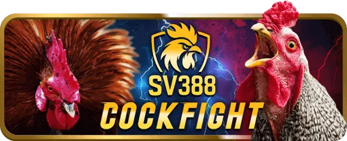 Giao Dịch Nhanh Chóng Win55