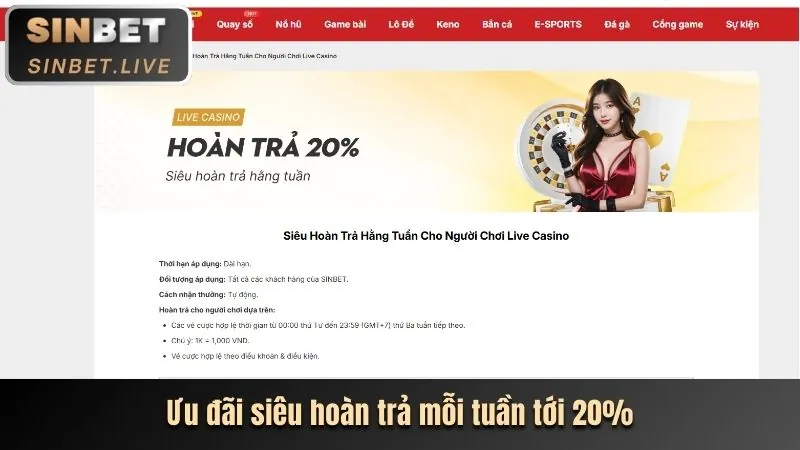 Cấp Độ VIP Bạch Kim Win55